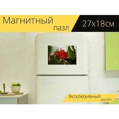 Магнитный пазл "Цветок, иксора, красный" на холодильник 27 x 18 см. Lots Prints
