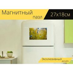 Магнитный пазл "Божья коровка, жук, насекомое" на холодильник 27 x 18 см. Lots Prints