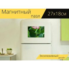 Магнитный пазл "Лотос, цветок, завод" на холодильник 27 x 18 см. Lots Prints