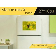 Магнитный пазл "Шмель газ, pszczołowate, apiformes" на холодильник 27 x 18 см. Lots Prints