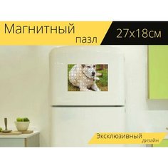 Магнитный пазл "Собака, хаски, животное" на холодильник 27 x 18 см. Lots Prints