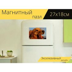 Магнитный пазл "Золотой, ретривер, животное" на холодильник 27 x 18 см. Lots Prints