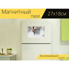 Магнитный пазл "Барабан, барабанщик, музыка" на холодильник 27 x 18 см. Lots Prints