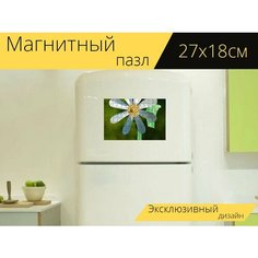 Магнитный пазл "Колесо, мельница, ветреный" на холодильник 27 x 18 см. Lots Prints