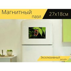 Магнитный пазл "Бабочка, адмирал, фауна" на холодильник 27 x 18 см. Lots Prints