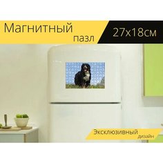 Магнитный пазл "Бернский зенненхунд, картинка животных, собака" на холодильник 27 x 18 см. Lots Prints