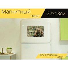 Магнитный пазл "Бобр, лес, природа" на холодильник 27 x 18 см. Lots Prints