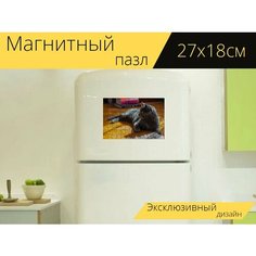 Магнитный пазл "Кошка, русская голубая, животное" на холодильник 27 x 18 см. Lots Prints