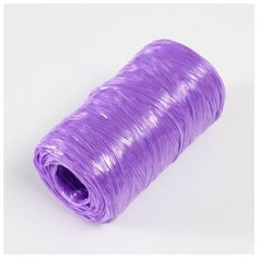 Пряжа для ручного вязания 100% полипропилен 200м/50гр. (16-фиолетовый), 1шт Noname