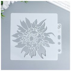 Трафарет пластик "Астра" 13х14 см Noname