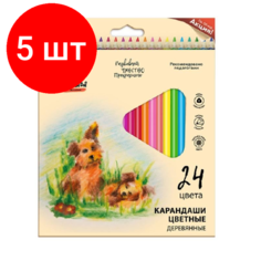 Комплект 5 наб, Карандаши цветные трехгранные Школа Творчества 24 цв. дер. 30С 1808-08 Луч
