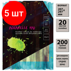 Комплект 5 штук, Альбом для акварели Kroyter 20л, А4, склейк, блок гознак,200гр, тв. подлож,05664