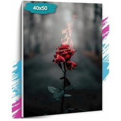 Картина по номерам "Роза", Холст на подрамнике, 40х50 см, Раскраска, Живопись Нет бренда