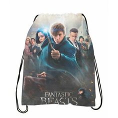 Мешок для обуви Fantastic Beasts, Фантастические твари №2 Anima Shop