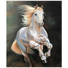 Картина по номерам Навстречу ветру 40х50 см Hobby Home