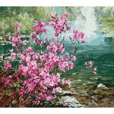 Картина по номерам Цветы у воды 40х50 см Hobby Home