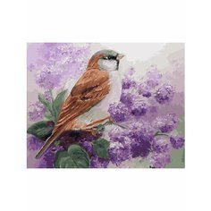 Картина по номерам Воробей 40х50 см Hobby Home