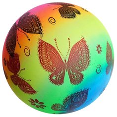 Мяч детский, d=22 см, 70 г Noname