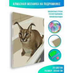 Алмазная мозаика на подрамнике - вышивка Большой Русский Кот 30 х 40 см Красиво Красим