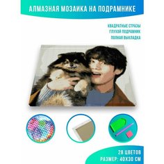 Алмазная мозаика на подрамнике - вышивка BTS Тэ и Ёнтан 30 х 40 см Красиво Красим