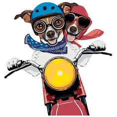 Картина по номерам, "Живопись по номерам", 40 x 40, A401, собаки, мотоцикл, путешествие, шлем, животные, поп-арт, поездка