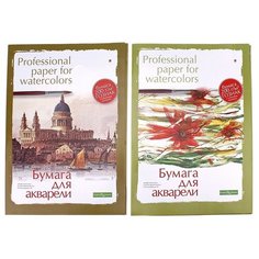 Папка для акварели Альт Professional paper for watercolors 42 х 29.7 см (A3), 200 г/м², 8 л.