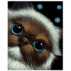 Картина по номерам, "Живопись по номерам", 40 x 50, A413, животное, кот, котёнок, маленький, голубые глаза, пушистый, рисунок