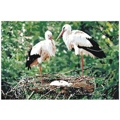 Картина по номерам, "Живопись по номерам", 40 x 60, Z2858