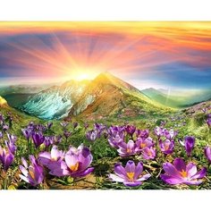 Алмазная мозаика на подрамнике 40х50 Сказочная долина Пейзаж Kolibriki
