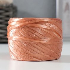 Пряжа - Для вязания мочалок, 100% полипропилен, 400м/100гр, №2-3, цвет бронзовый, 5 шт. Sweet Home