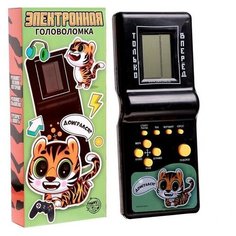 Электронная головоломка «Доигрался?», 13 игр