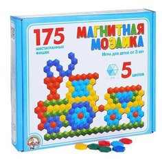 Мозаика магнитная 175 фишек Десятое королевство