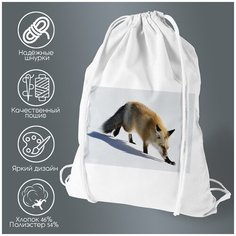 Сумка для обуви CoolPodarok Лиса крадётся