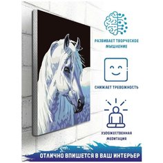 Картина по номерам на холсте Животные (белая лошадь, пони) - 9069 В 20x30