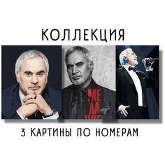 Картины по номерам коллекция " Валерий Меладзе / Valery Meladze " холст на подрамнике 40 х 60