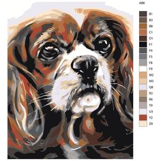 Картина по номерам, "Живопись по номерам", 80 x 100, A66, щенок, пёс, спаниель, милый, животное, домашний, питомец