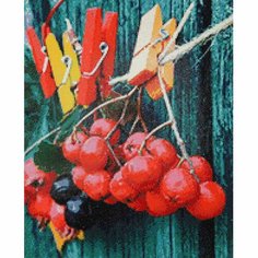 Cr 450072 Алмазная мозаика Осенние ягодные Жанна Ячник, 40*50 см, Cristyle