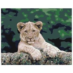 Картина по номерам Львёнок 40х50 см Hobby Home