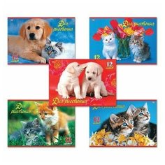 Альбом для рисования, А4, 12 листов, скоба, обложка офсет, HATBER VK, 205х290 мм, "Верные друзья", 12А4C, A140673