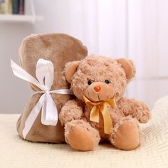 Мягкая игрушка с пледом «Мишутка» Milo Toys