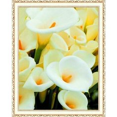 Алмазная мозаика на подрамнике полная выкладка круглые стразы 40*50 "Нежные каллы " Нет бренда