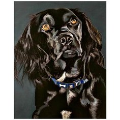 Картина по номерам Спаниель 40х50 см Hobby Home