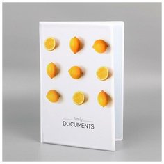 Папка для документов «Docs», 8 файлов, 4 комплекта, А4 Noname