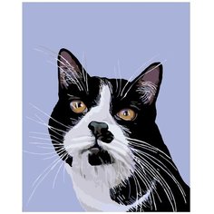 Картина по номерам Черно-белый кот 40х50 см Hobby Home