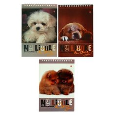 Блокнот А5, 40 листов на гребне "Собаки", обложка ламинированный картон, блок 55 г/м2, микс Альт