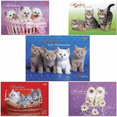 Альбом для рисования, А4, 24 листа, спираль, обложка картон, HATBER, 205х300 мм, "Милые котята", 24А4Всп, A075449, 10 штук, 103406