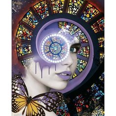 Алмазная мозаика Мистические грёзы 40x50 см. Цветной