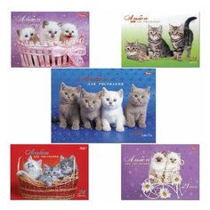 Альбом для рисования, А4, 24 листа, спираль, обложка картон, HATBER, 205х300 мм, "Милые котята", 24А4Всп, A075449