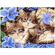 Цветной картина по номерам Котята в цветах, 40 х 30 см