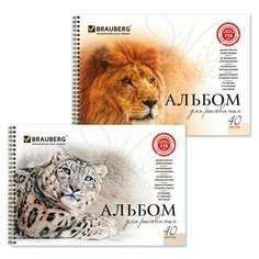 Альбом для рисования, А4, 40 листов, гребень, обложка картон, BRAUBERG, 205х290 мм, "Благородные кошки" (2 вида), 102831